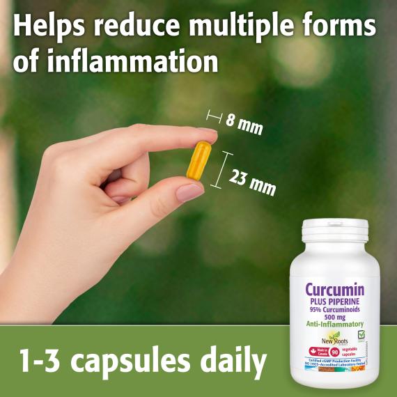 Curcumin Plus Piperine