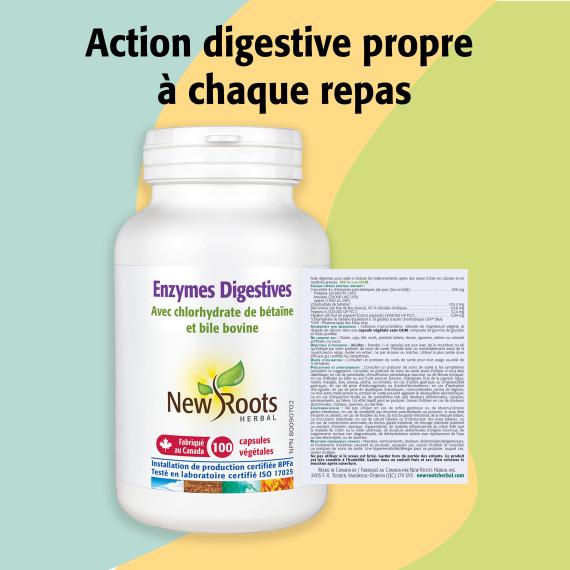 Enzymes Digestives