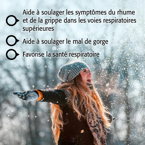 Échinacée (Racine)