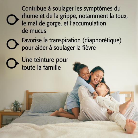 Sureau Secours Teinture de fruit