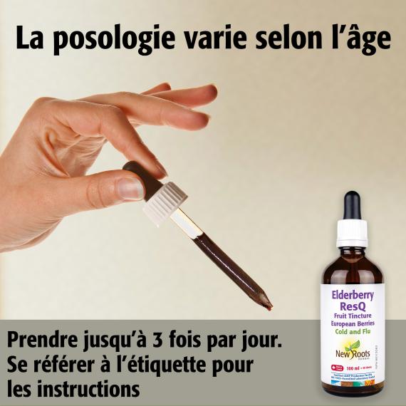 Sureau Secours Teinture de fruit