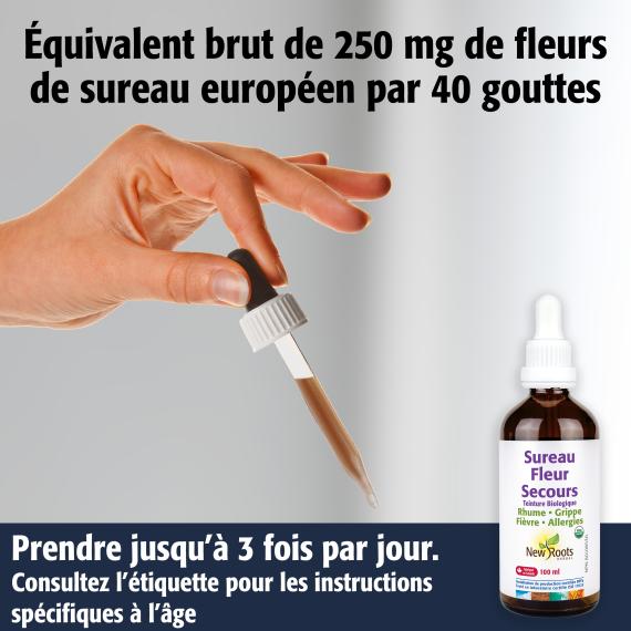 Sureau Fleur Secours Teinture biologique