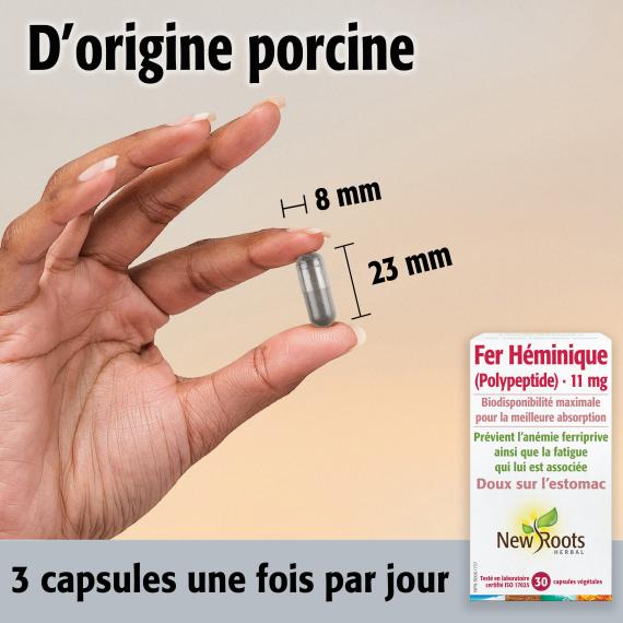 Fer Héminique