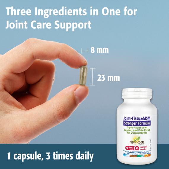 Joint-Tissu&MSM