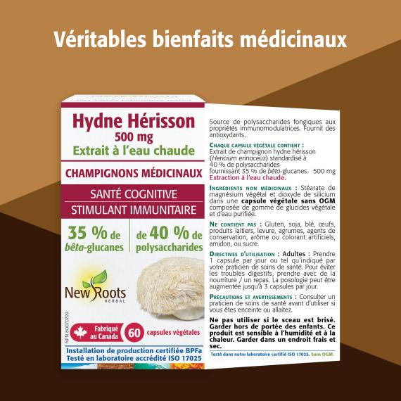 Hydne Hérisson