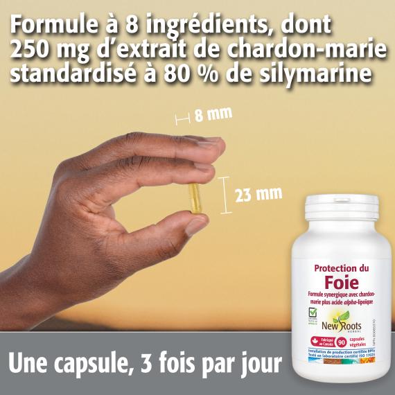 Protection du Foie