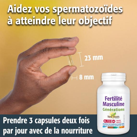 Fertilité Masculine