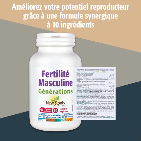 Fertilité Masculine