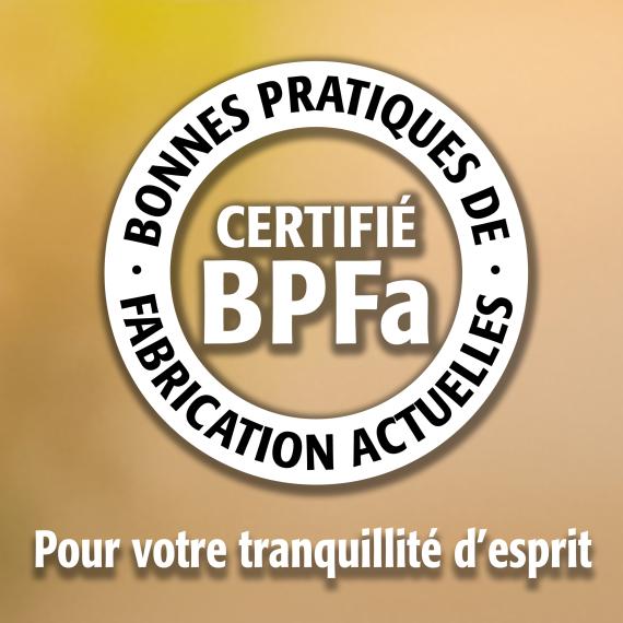 Fertilité Masculine