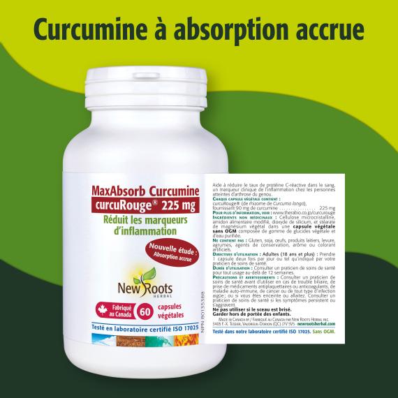 MaxAbsorb Curcumine