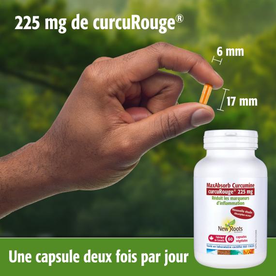 MaxAbsorb Curcumine