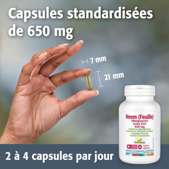 Neem (Feuille) (Margousier)