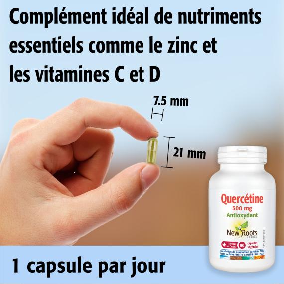 Quercétine