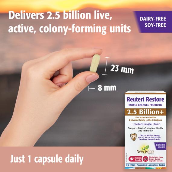 Reuteri Restore 2.5 Billion+