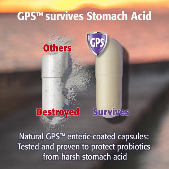 Reuteri Restore 2.5 Billion+