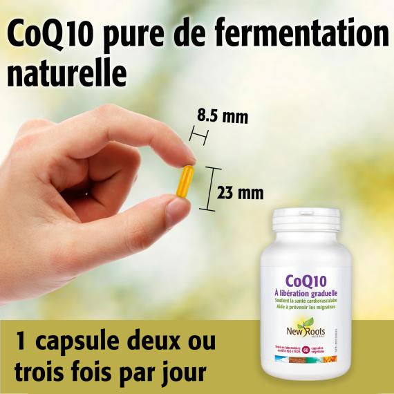 CoQ10 À libération graduelle