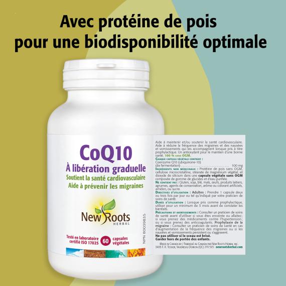 CoQ10 À libération graduelle