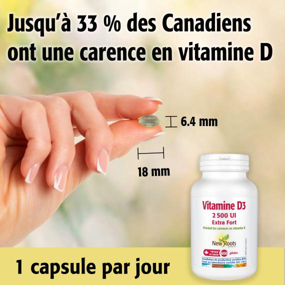 Vitamine D3 2 500 UI Extra Fort (Gélules)
