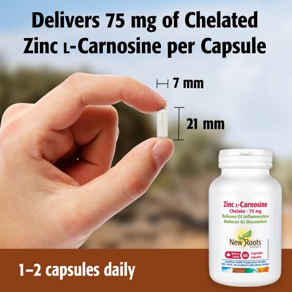 Zinc ʟ-Carnosine