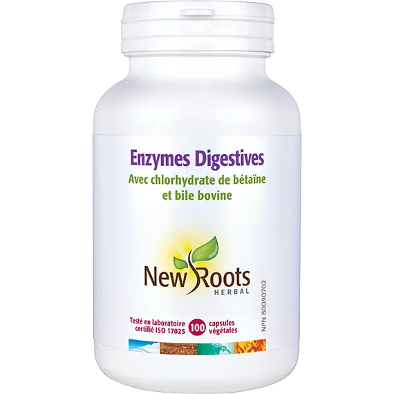 Enzymes Digestives