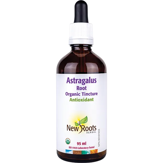 Astragalus Root