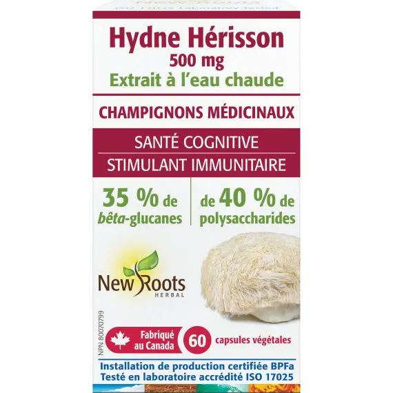 Hydne Hérisson