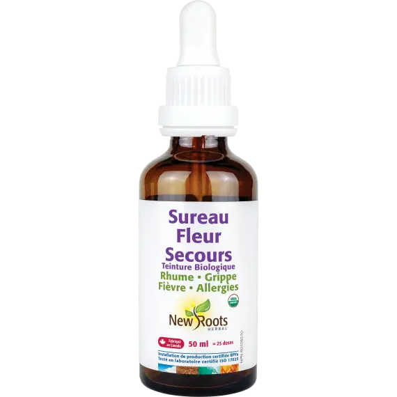 Sureau Fleur Secours Teinture biologique