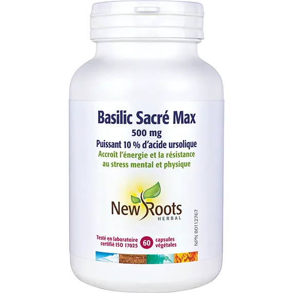 Basilic Sacré Max