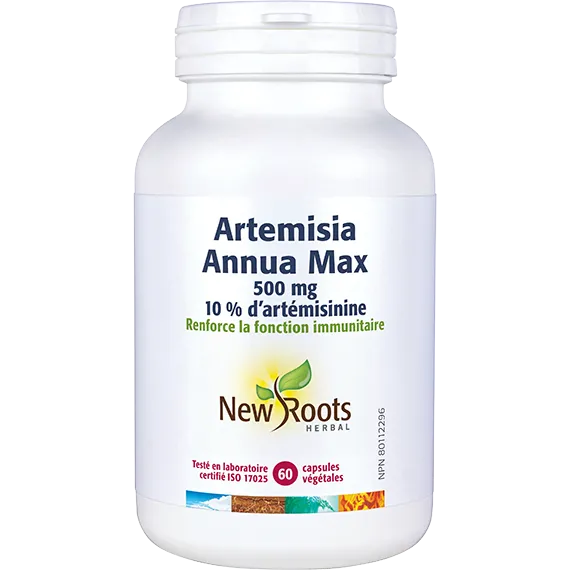 Artemisia Annua Max