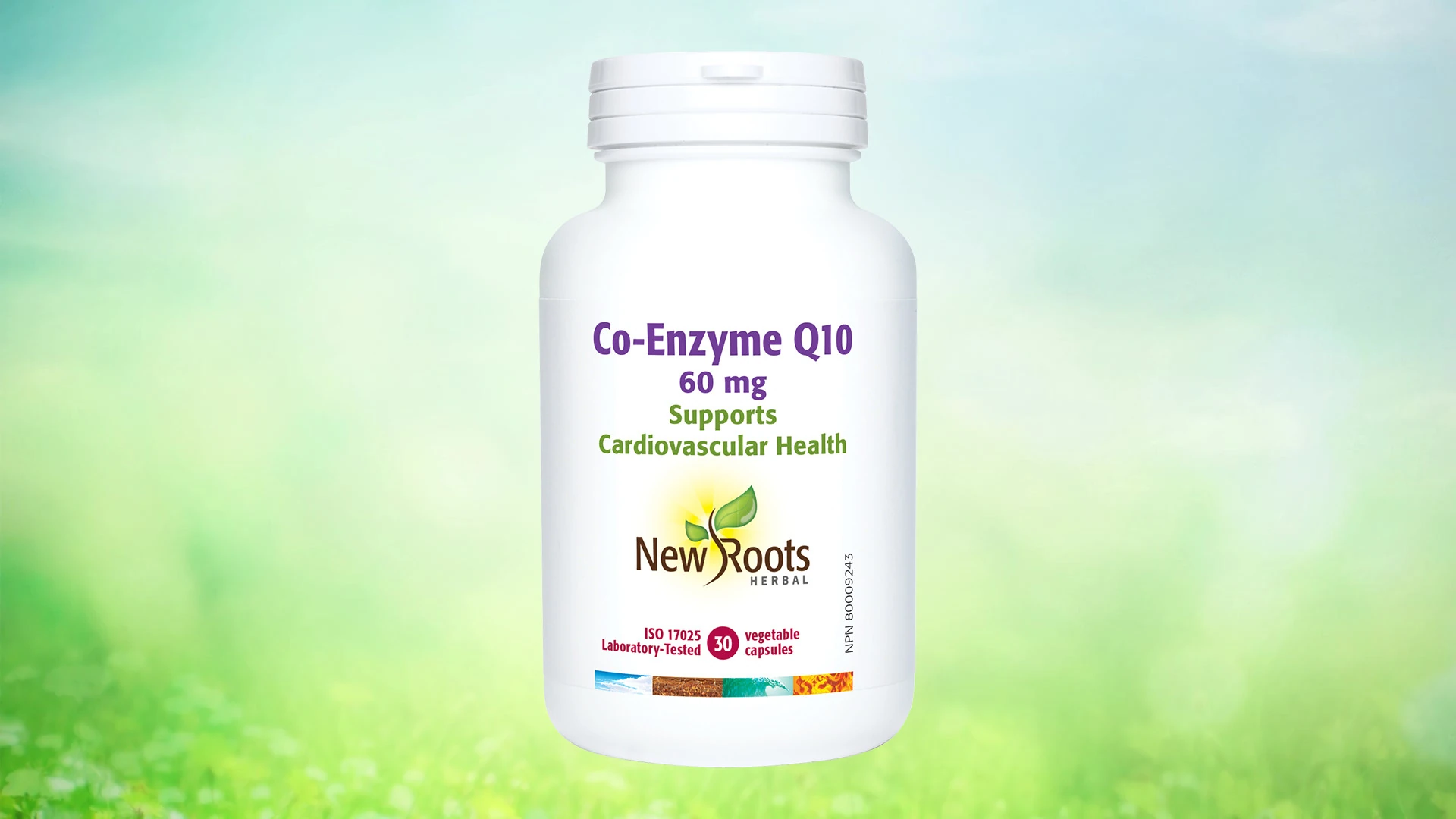 Coenzyme Q10