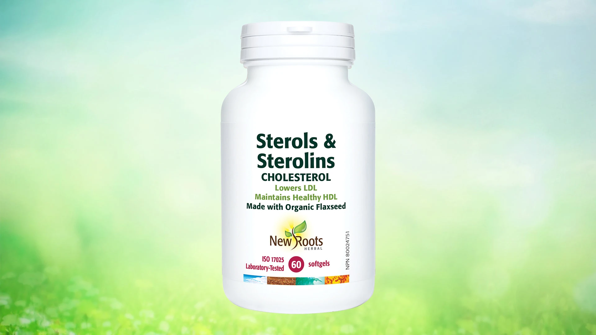 Thumbnail for Sterols & Sterolins Cholesterol style=